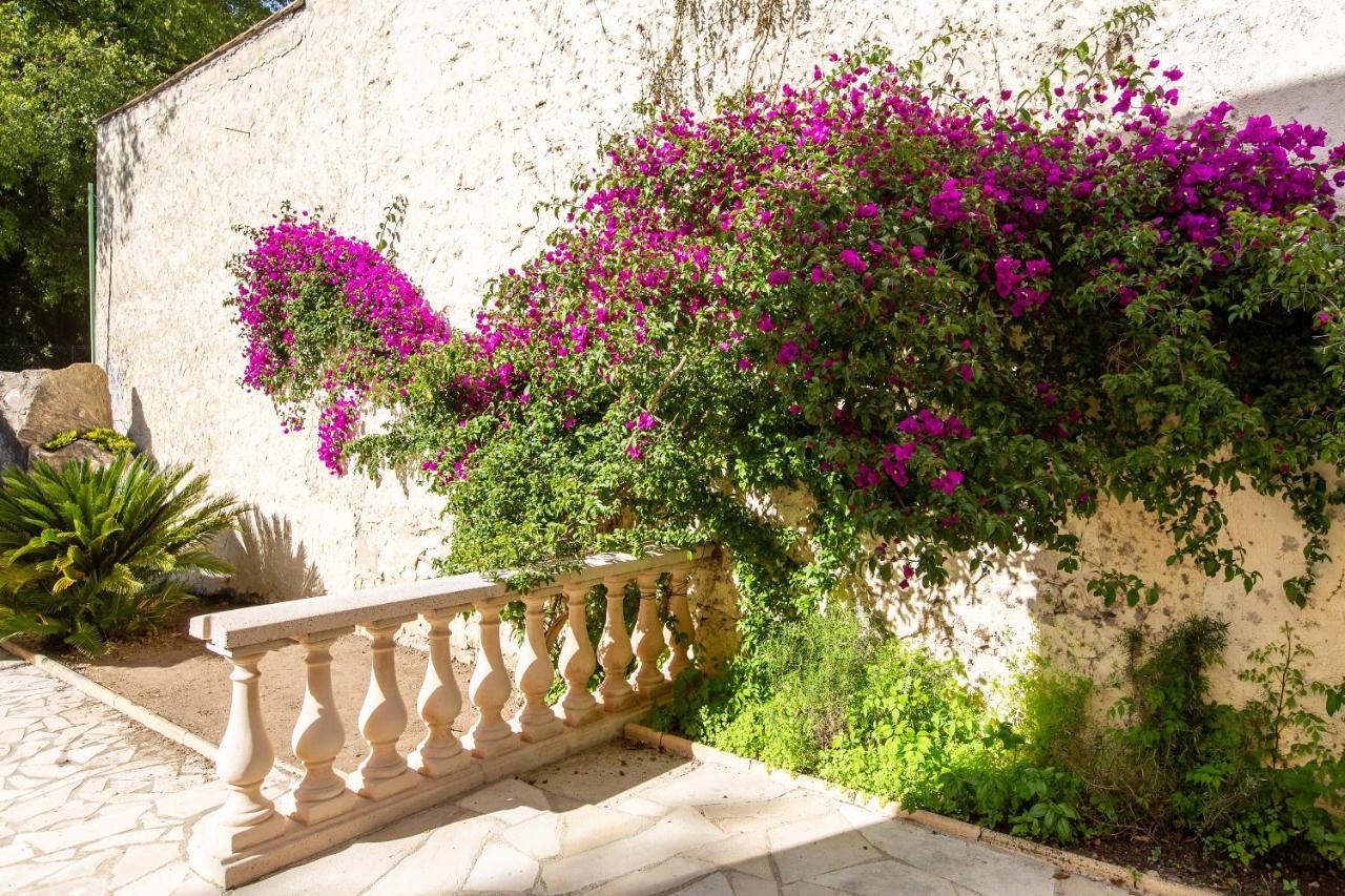 Cannes Villa Simone Εξωτερικό φωτογραφία